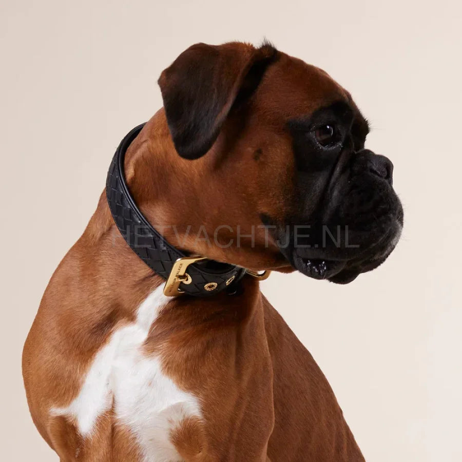 William Walker - Leren halsband Prestige Nero