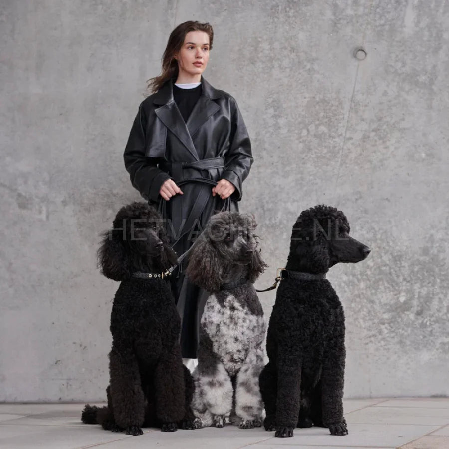 William Walker - Leren halsband Prestige Nero