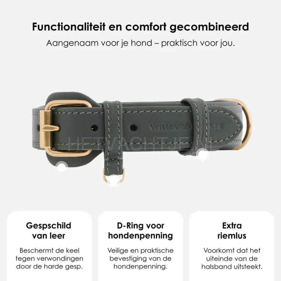 William Walker - Leren hondenhalsband Dark Moss