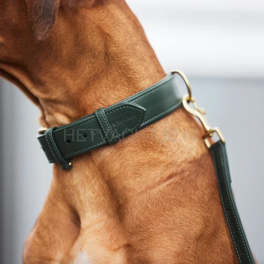 William Walker - Leren hondenhalsband Dark Moss
