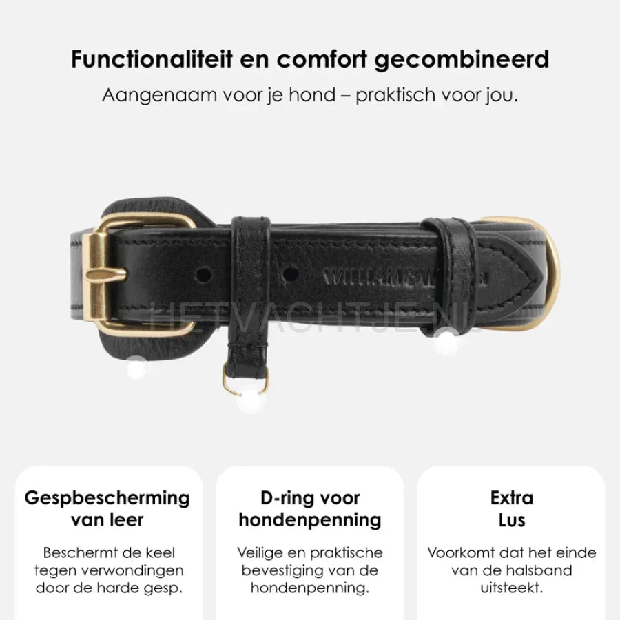 William Walker - Leren hondenhalsband Noir