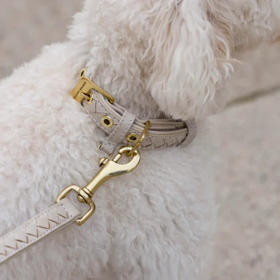 William Walker - Leren hondenhalsband Prestige Amandel