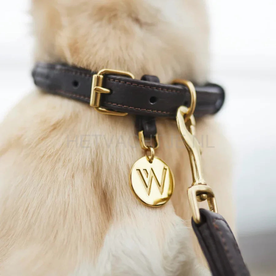 William Walker - Leren hondenhalsband Twisted Earth