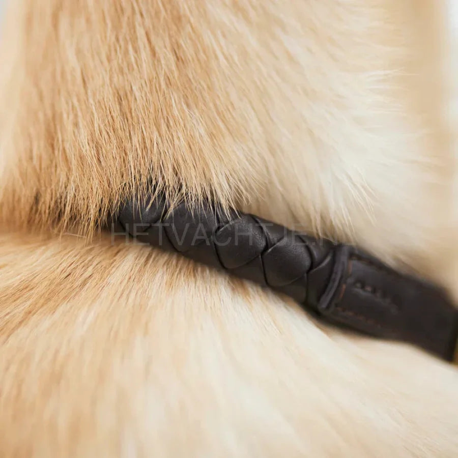 William Walker - Leren hondenhalsband Twisted Earth