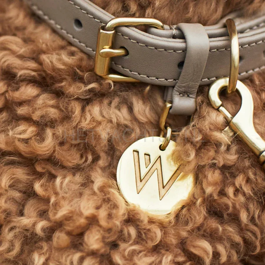 William Walker - Leren hondenhalsband Twisted Zand