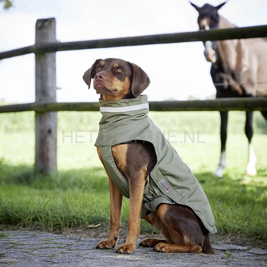 Wolters - Modern Classic Outdoor Jasje Olive