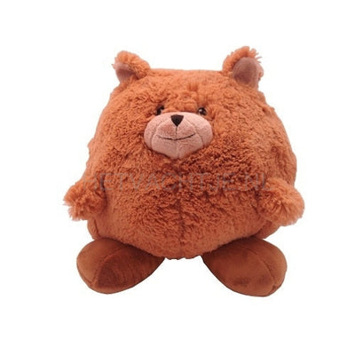 Wolters - Pluchebal Beer