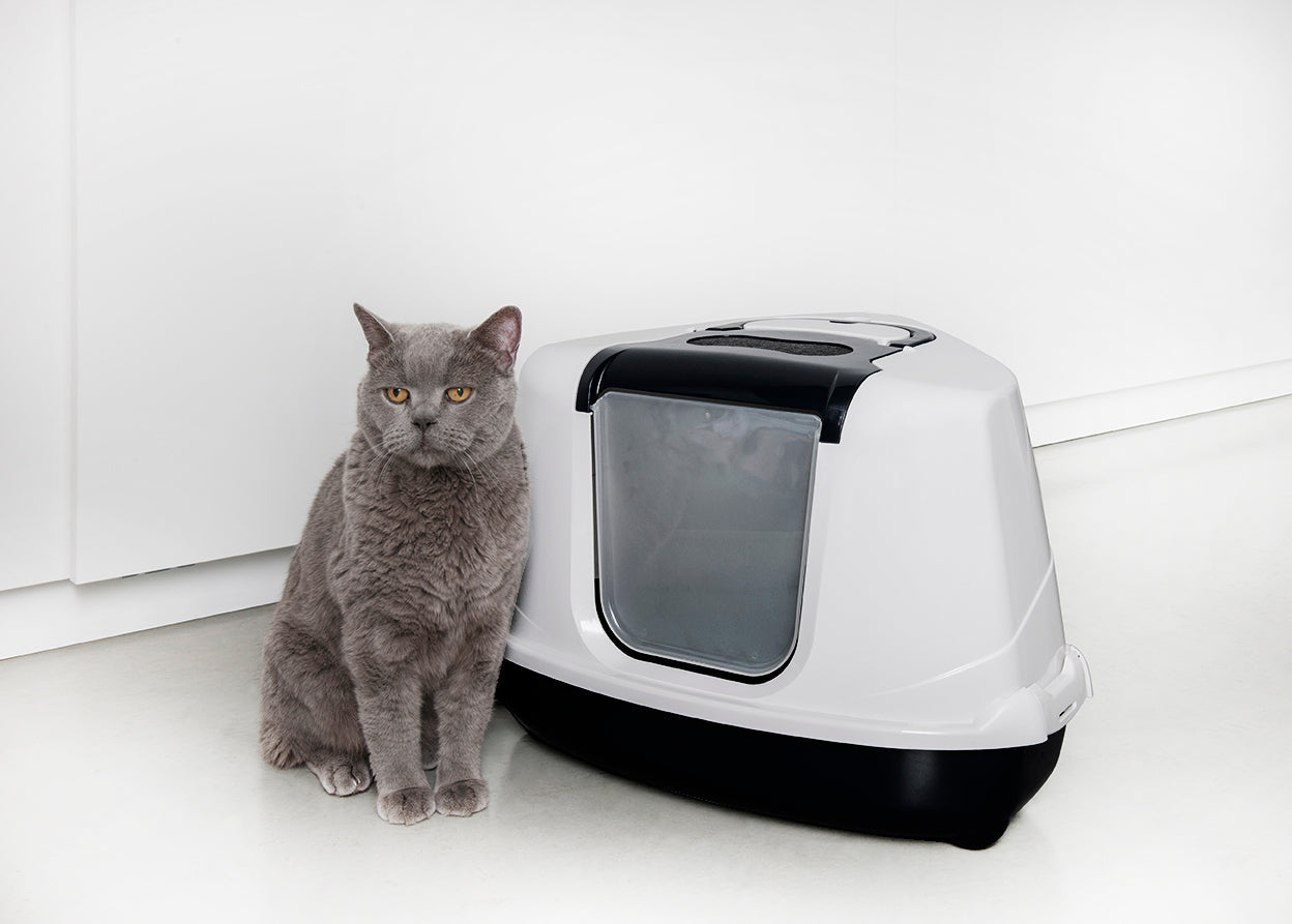 MODERNA - Kattentoilet Flip Corner Zwart/Wit