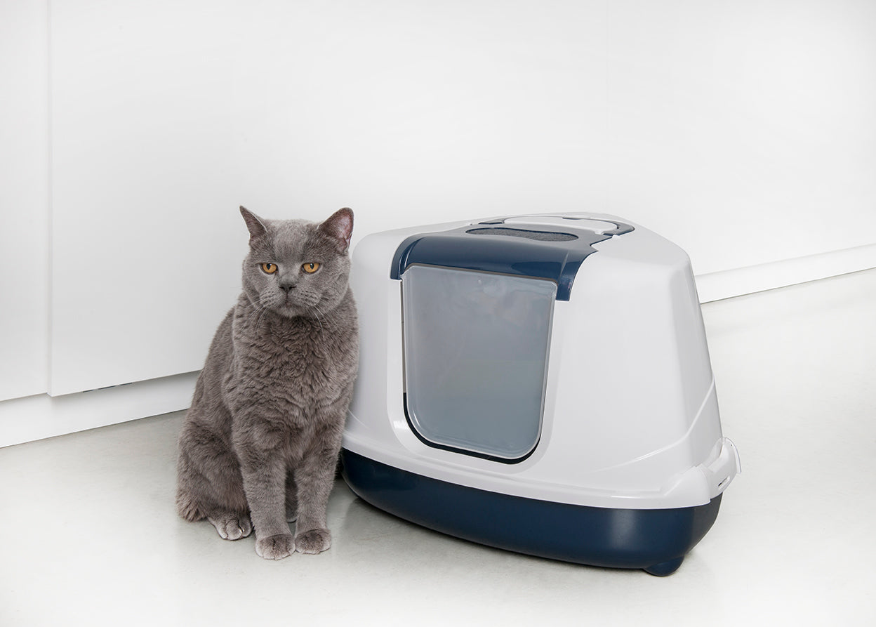 MODERNA - Kattentoilet Flip Corner Blue Berry/Wit