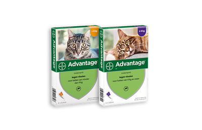 ADVANTAGE - Spot-On 4 Pipet Anti-Vlo Middel voor katten