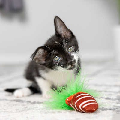 KITTYBELLES - Chocolate Strawberry