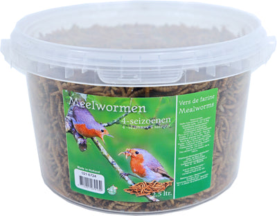 BOON - 4-seizoenen meelwormen