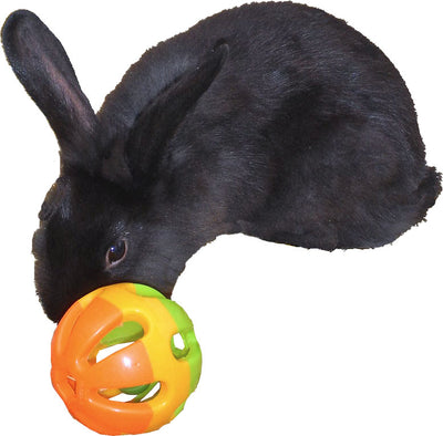 BOON - Knaagdierspeelgoed Bal Plastic met Bel