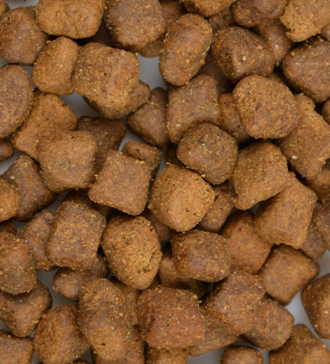 CARNIS - Kalkoen XL kattenvoer