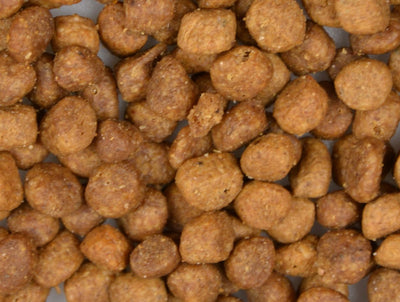 CARNIS - Kitten met kalkoen