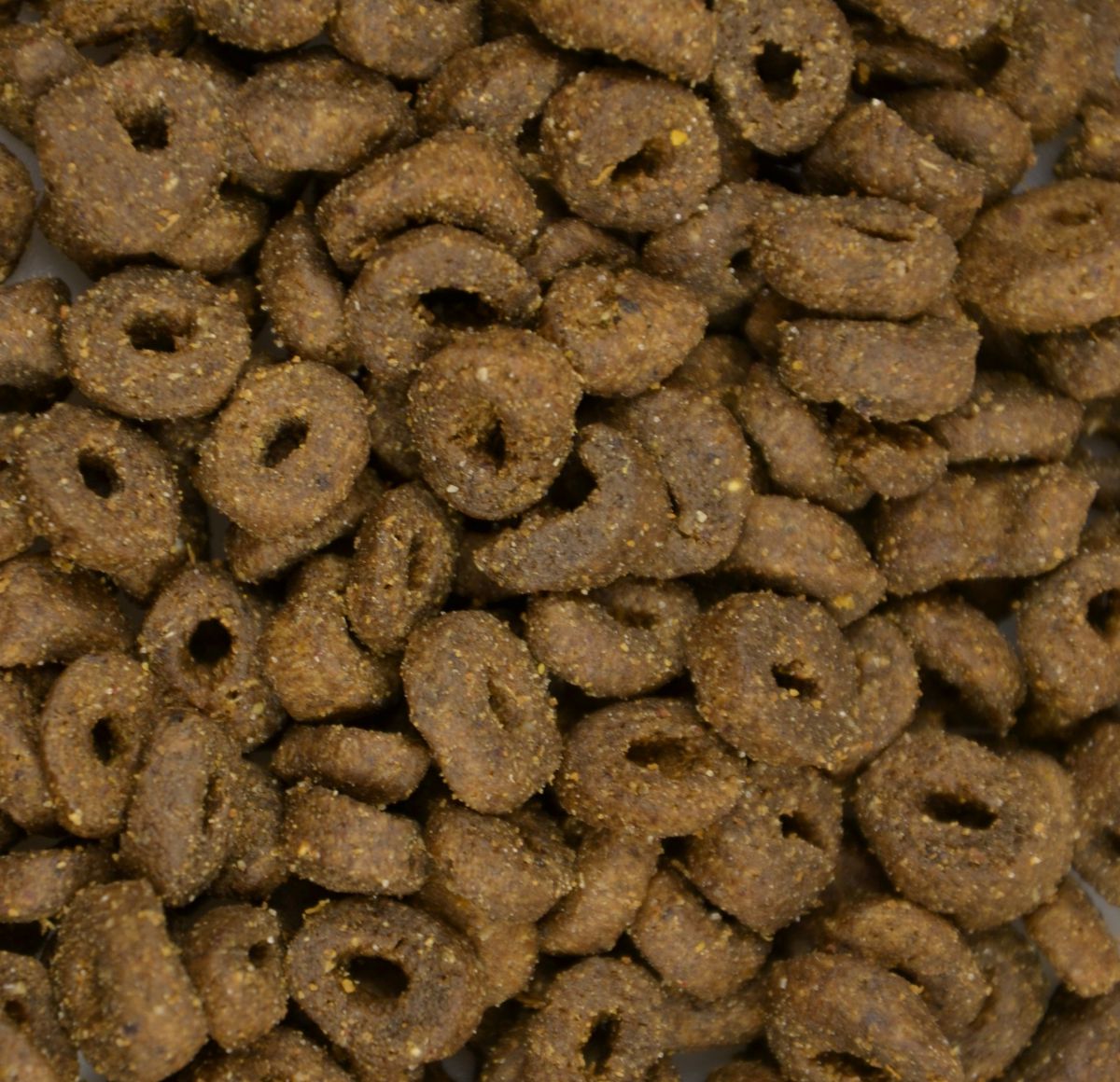CARNIS - Cat Salmon cat food