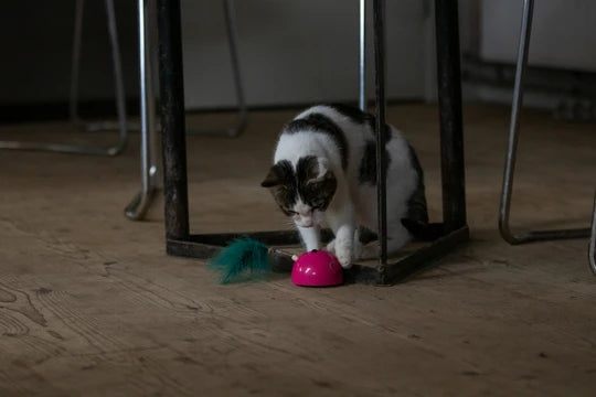 ROBOCAT - Mouse Grijs