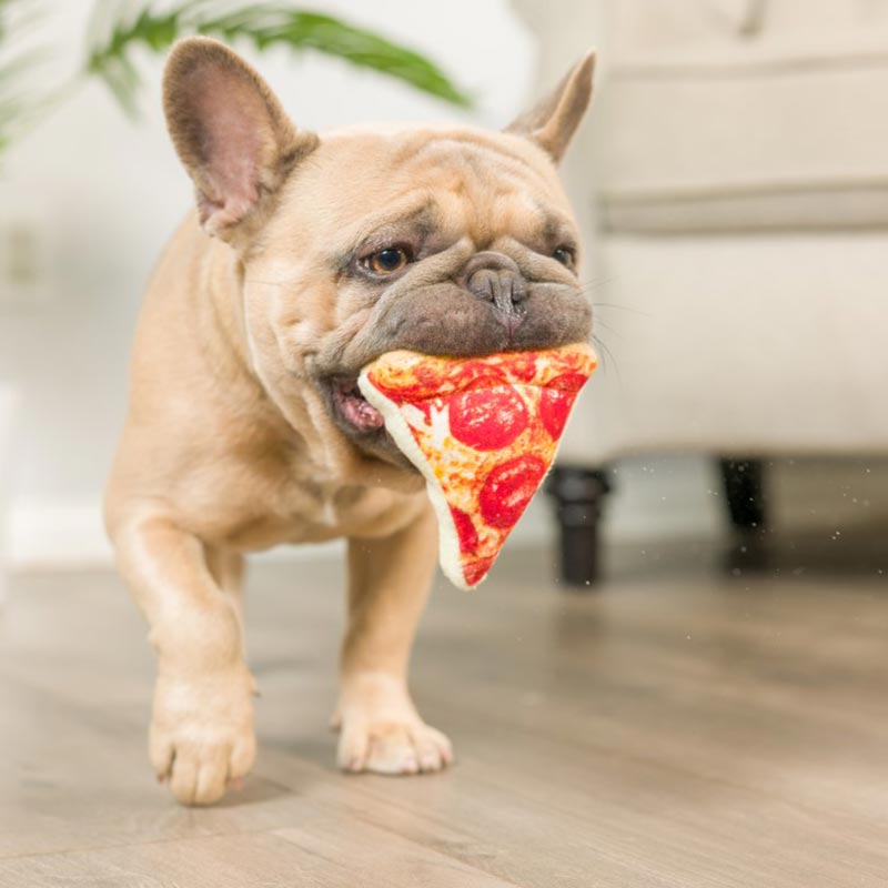 LULUBELLES - Tiny Tuff No Regrets