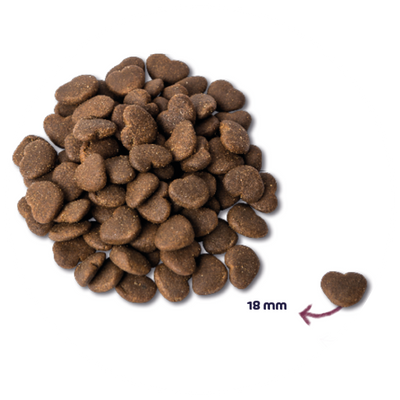 RENSKE - Oceaanvis en Zalm Kattenvoer