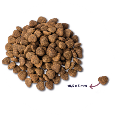 RENSKE - Kip met Eend