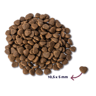 RENSKE - Zalm Kattenvoer