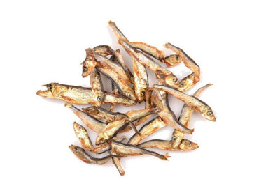 CARNIS - Spiering Kattensnack