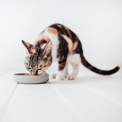 DISTRICT70 - Bamboo food bowl
