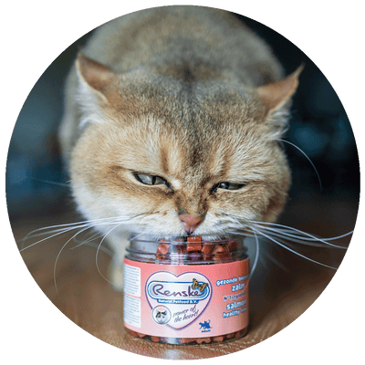 RENSKE - Salmon