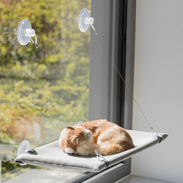 TRIXIE - Berth by the window