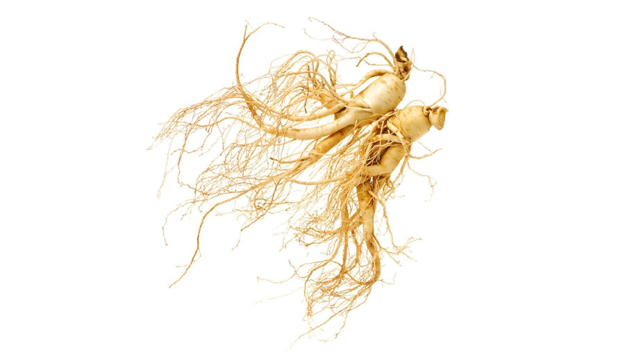 Vigr&Sage - Ginseng Well-Being Volwassen Katten Kattenvoeding
