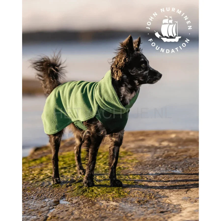 PAIKKA Hondenkleding: Premium Comfort & Design