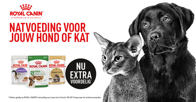 Exclusieve Aanbieding: 20% Korting op Royal Canin Natvoer bij Onze Winkel in Amsterdam!