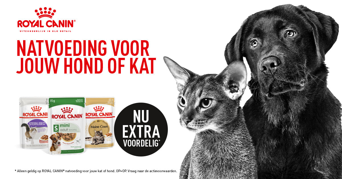 Exclusieve Aanbieding: 20% Korting op Royal Canin Natvoer bij Onze Winkel in Amsterdam!