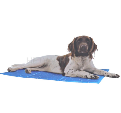 Honden Koelmatten & Koelbanden