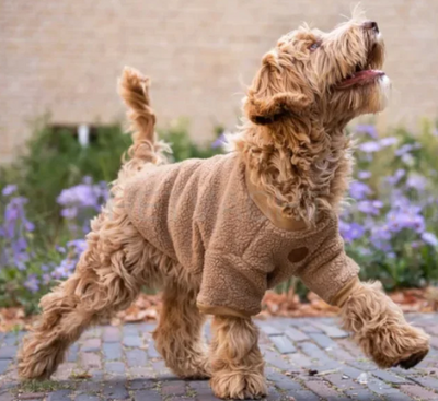 Honden Hondenkleding