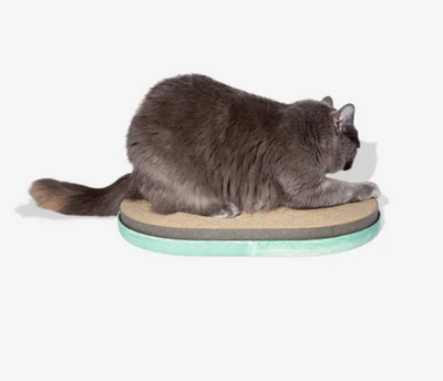 Katten Spel & Speelgoed