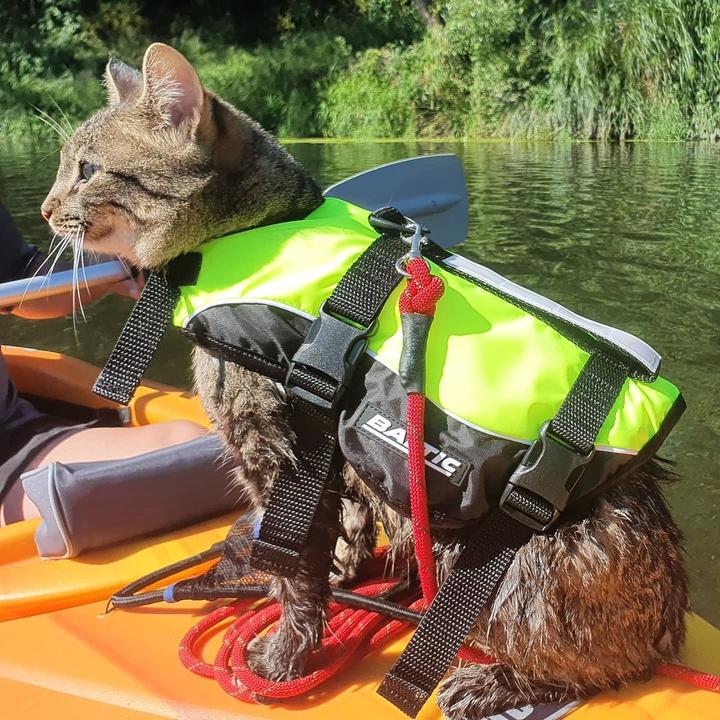 BALTIC - Kattenzwemvest Maja Geel/Zwart