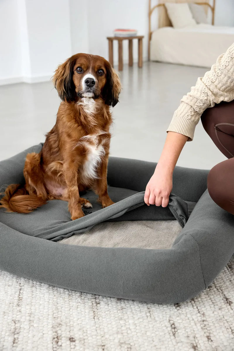 Palopa - Dog bed cover set of 2 Fred anthracite