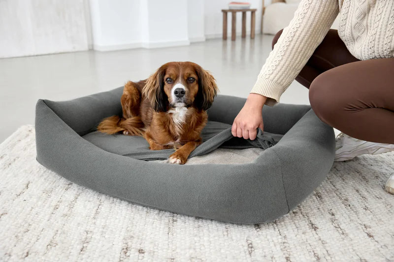 Palopa - Dog bed cover set of 2 Fred anthracite