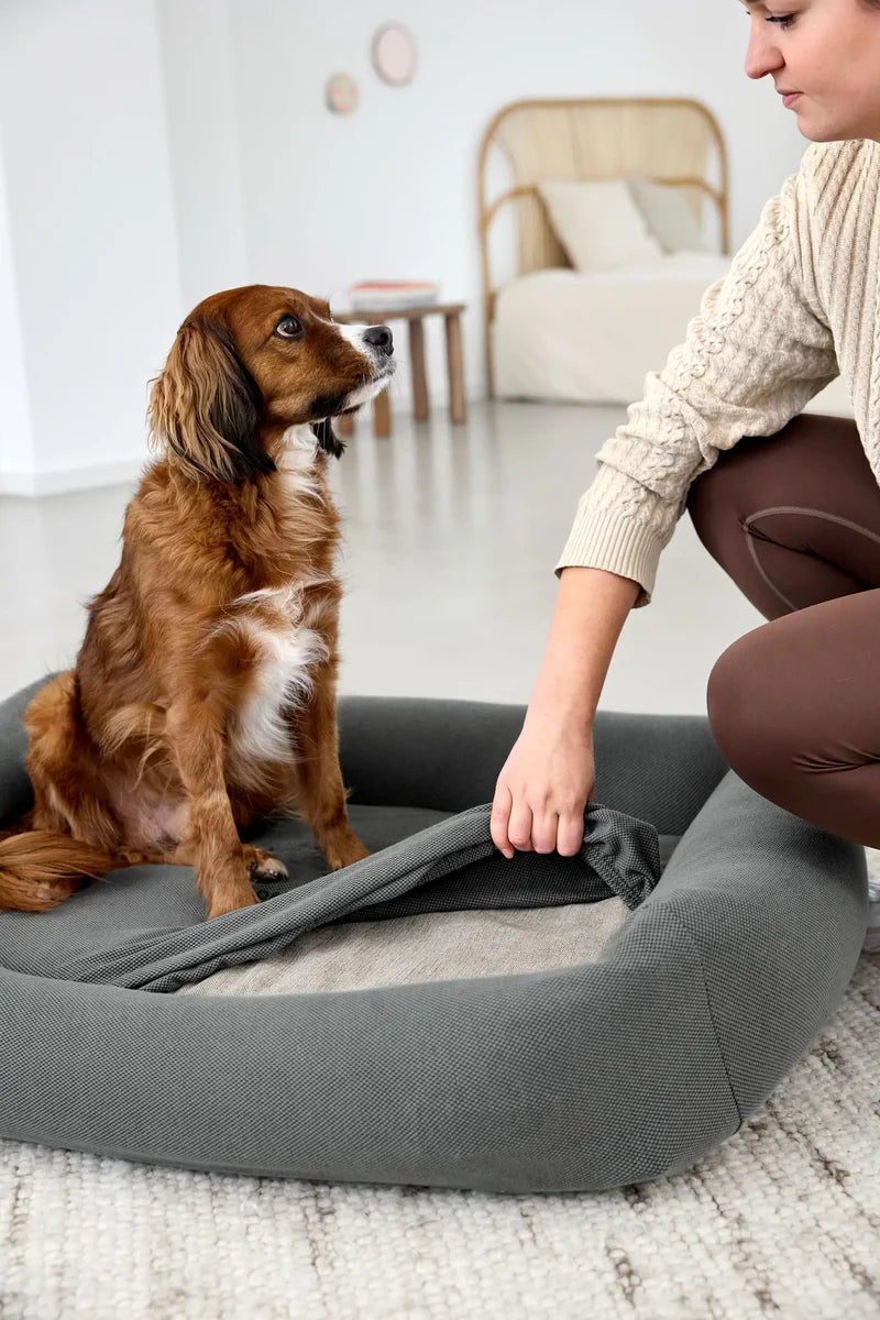 Palopa - Dog bed cover set of 2 Fred anthracite