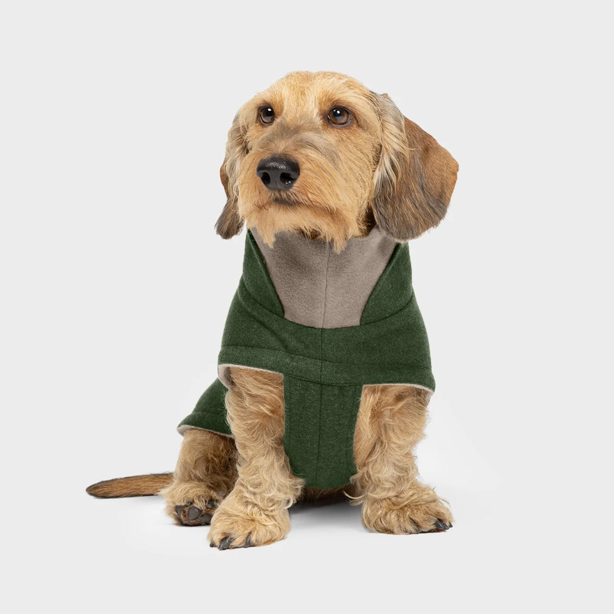 Cloud7 - Teckeljas Brooklyn Flanel Varengroen