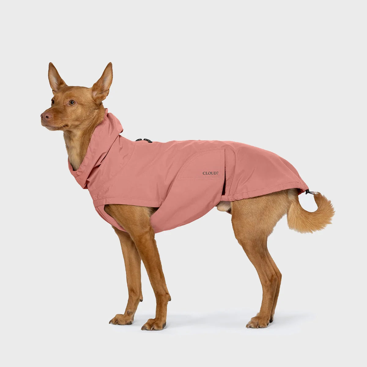 Hondenregenjas Dublin 2.0 - Oud Roze