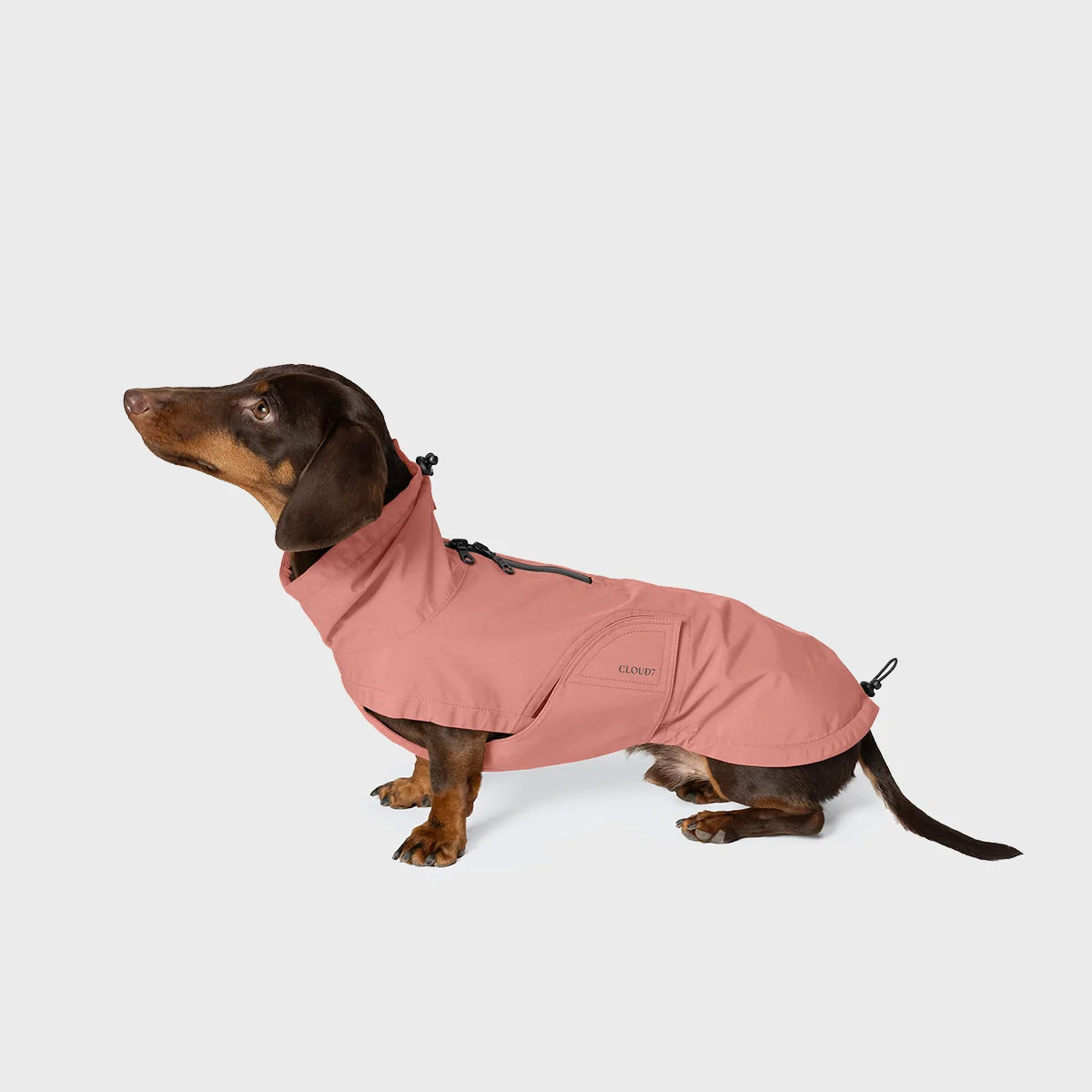 Teckel regenjas Dublin 2.0 - Oud Roze