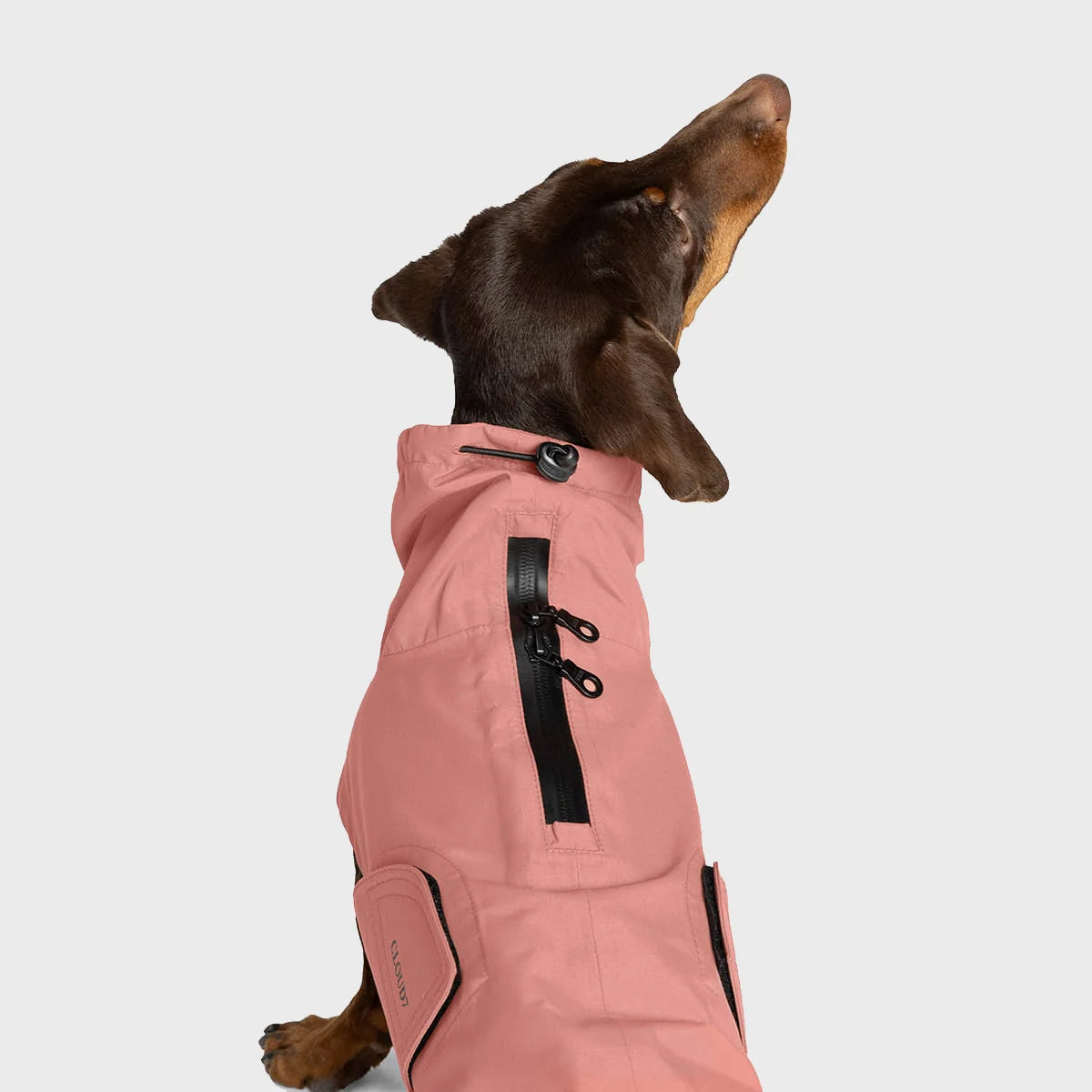 Teckel regenjas Dublin 2.0 - Oud Roze