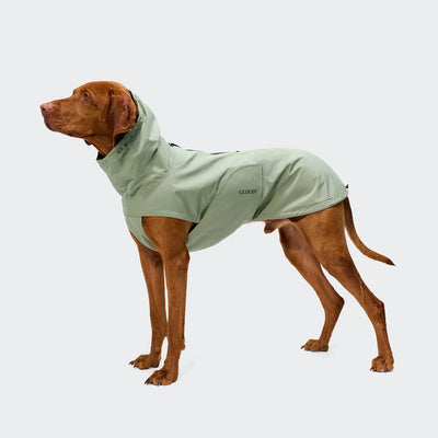 Hondenregenjas Dublin 2.0 - Dusty Mint