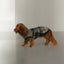 Cloud7 - Teckeltrui Gotland Tartan