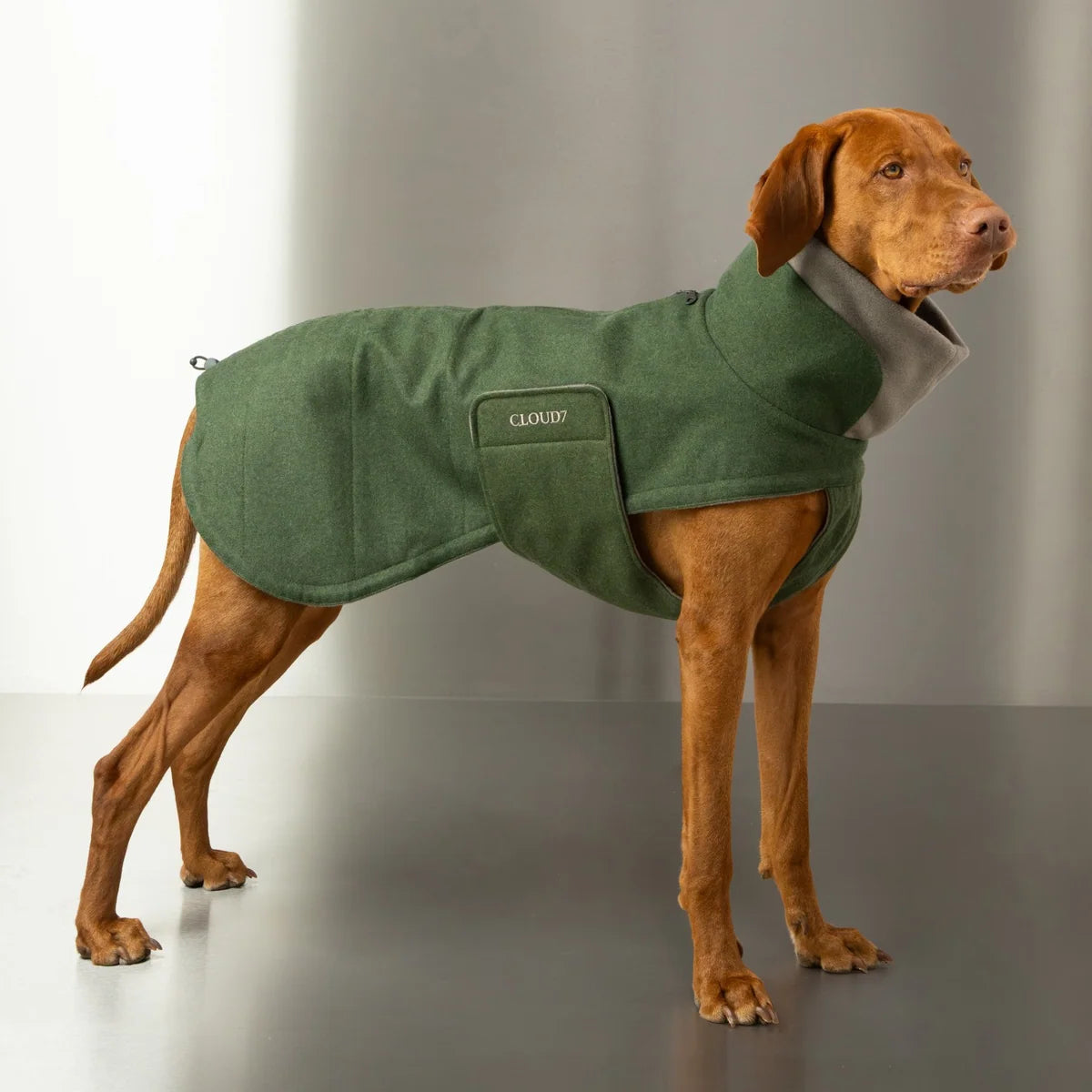 Hondenjas Brooklyn Lang Flanel Varengroen