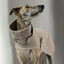 Hondenjas Brooklyn Lang Tweed Beige