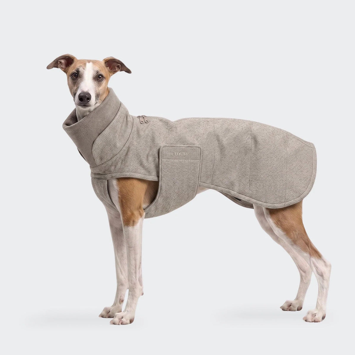 Hondenjas Brooklyn Lang Tweed Beige