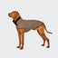 Cloud7 - Hondenjas Brooklyn Houndstooth